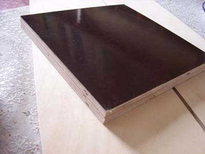 進口棕模板供應